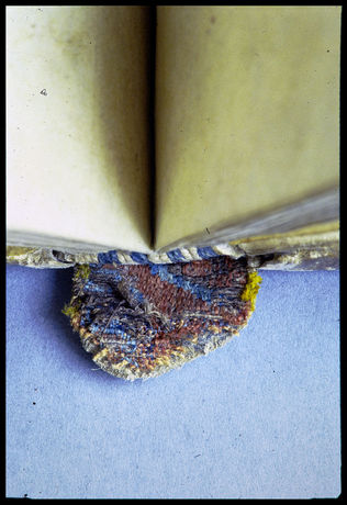 Romanesque tab endband lined with textile